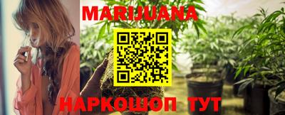 сатива Кулебаки