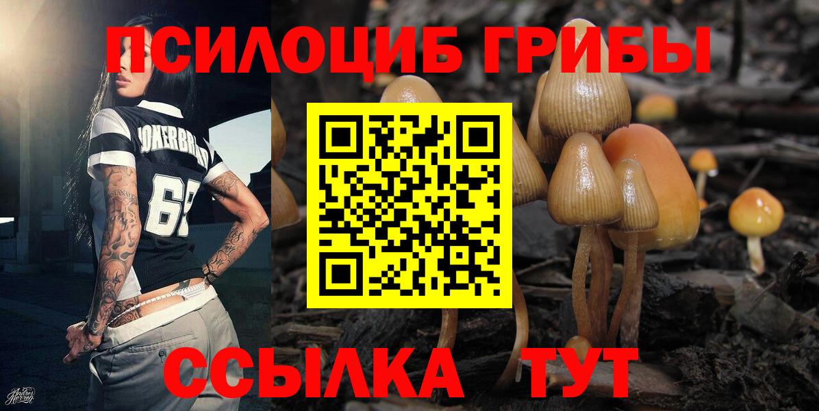 Псилоцибиновые грибы прущие грибы Хабаровск