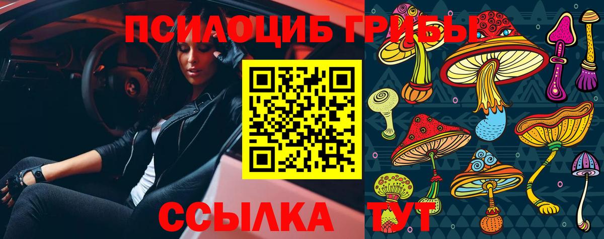 Хабаровск  Псилоцибиновые грибы Magic Shrooms  где купить   Галлюциногенные грибы MAGIC MUSHROOMS  Вход с VPN 